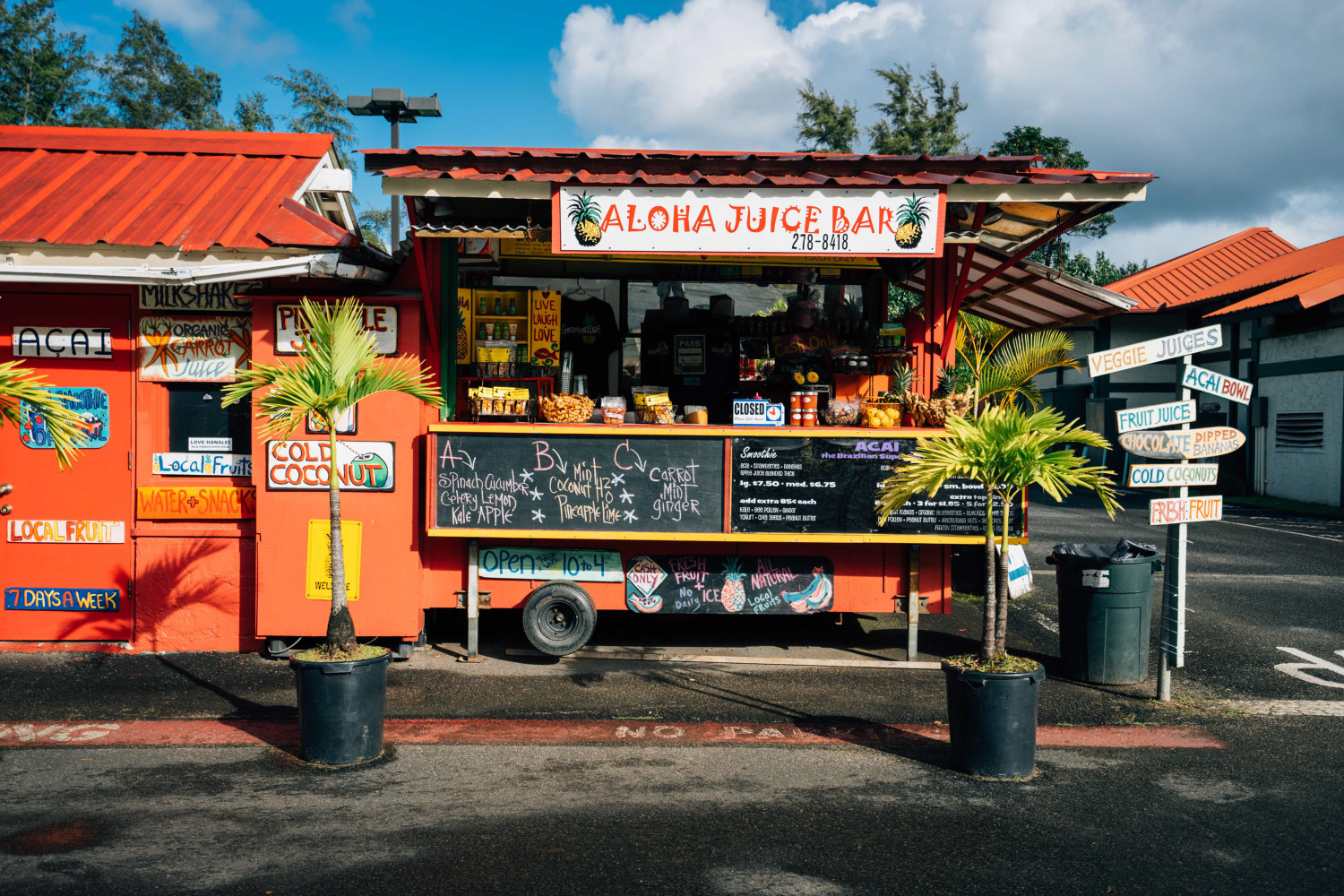 aloha-juice-bar-kauai-dante-vincent-photography