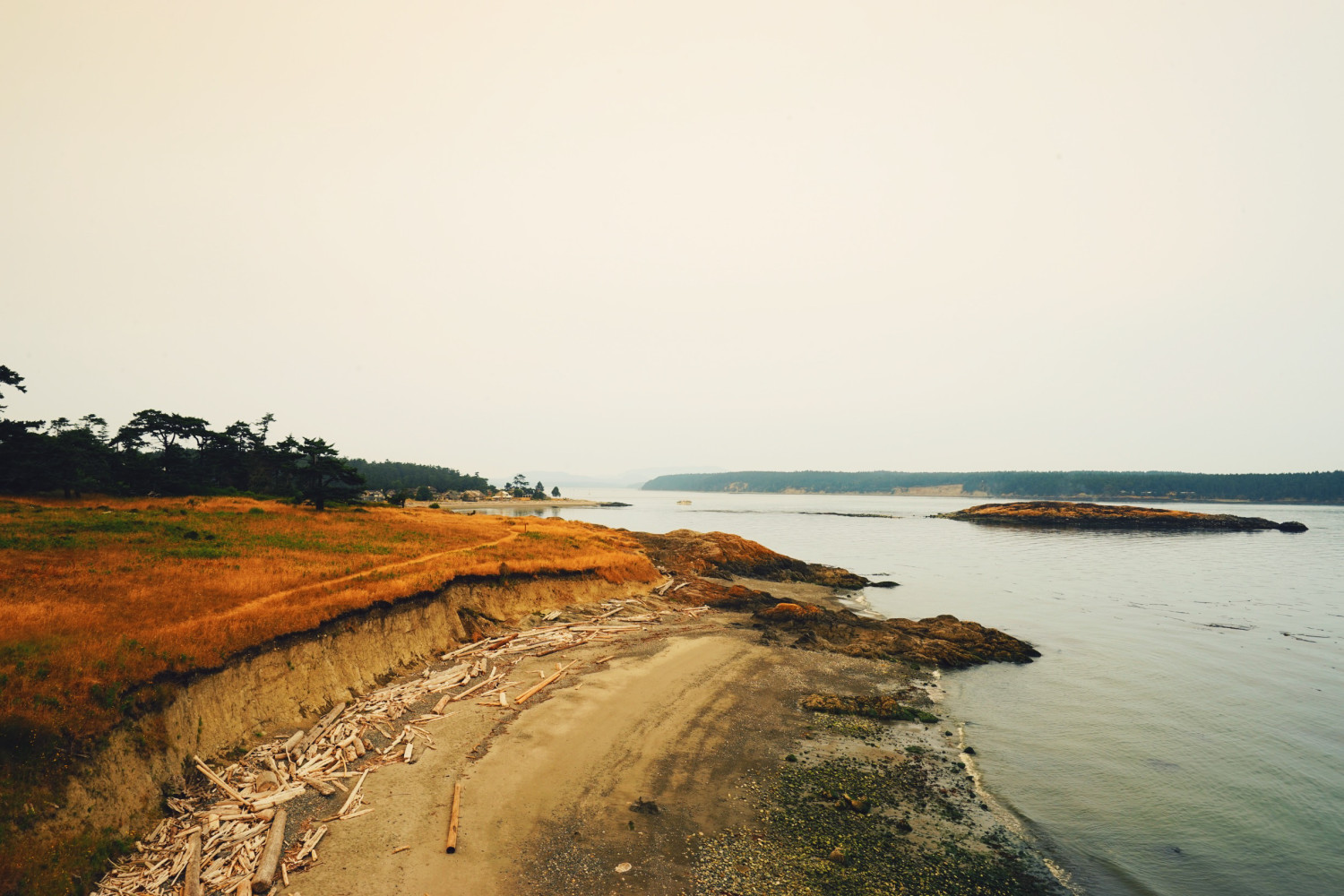 coastline-san-juan-island-dante-vincent-photography