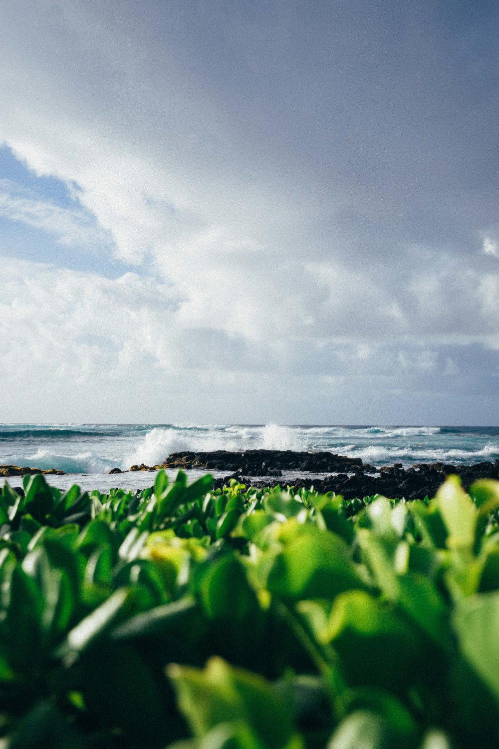 kauai-surf-dante-vincent-photography