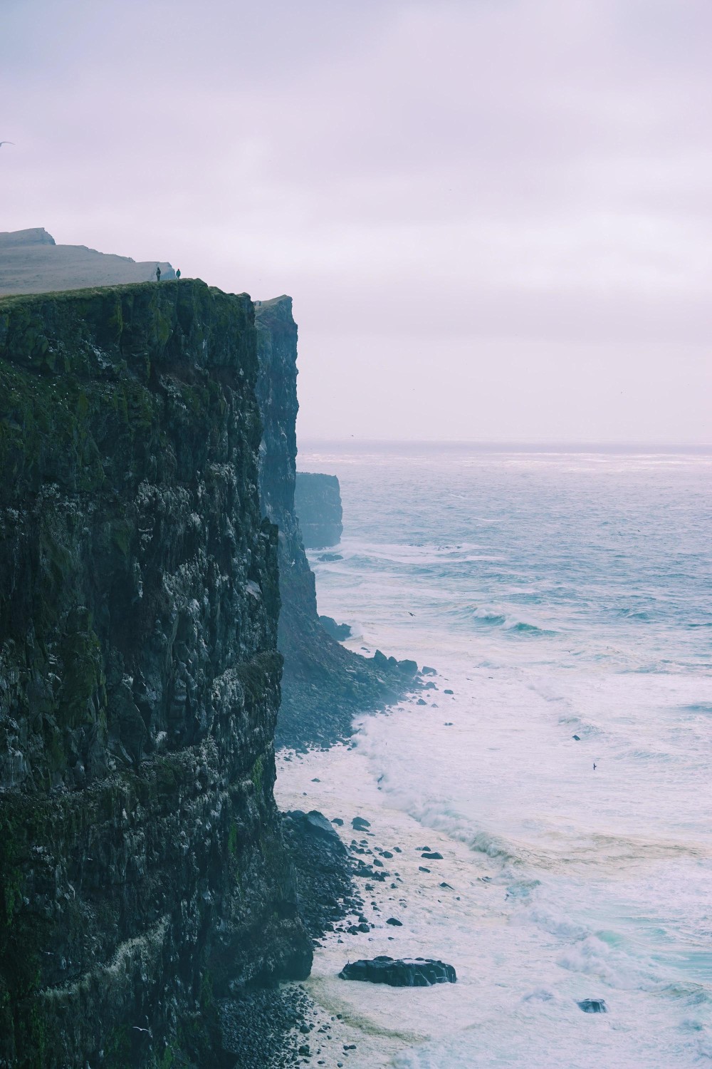 látrabjarg-iceland-dante-vincent-photography-100