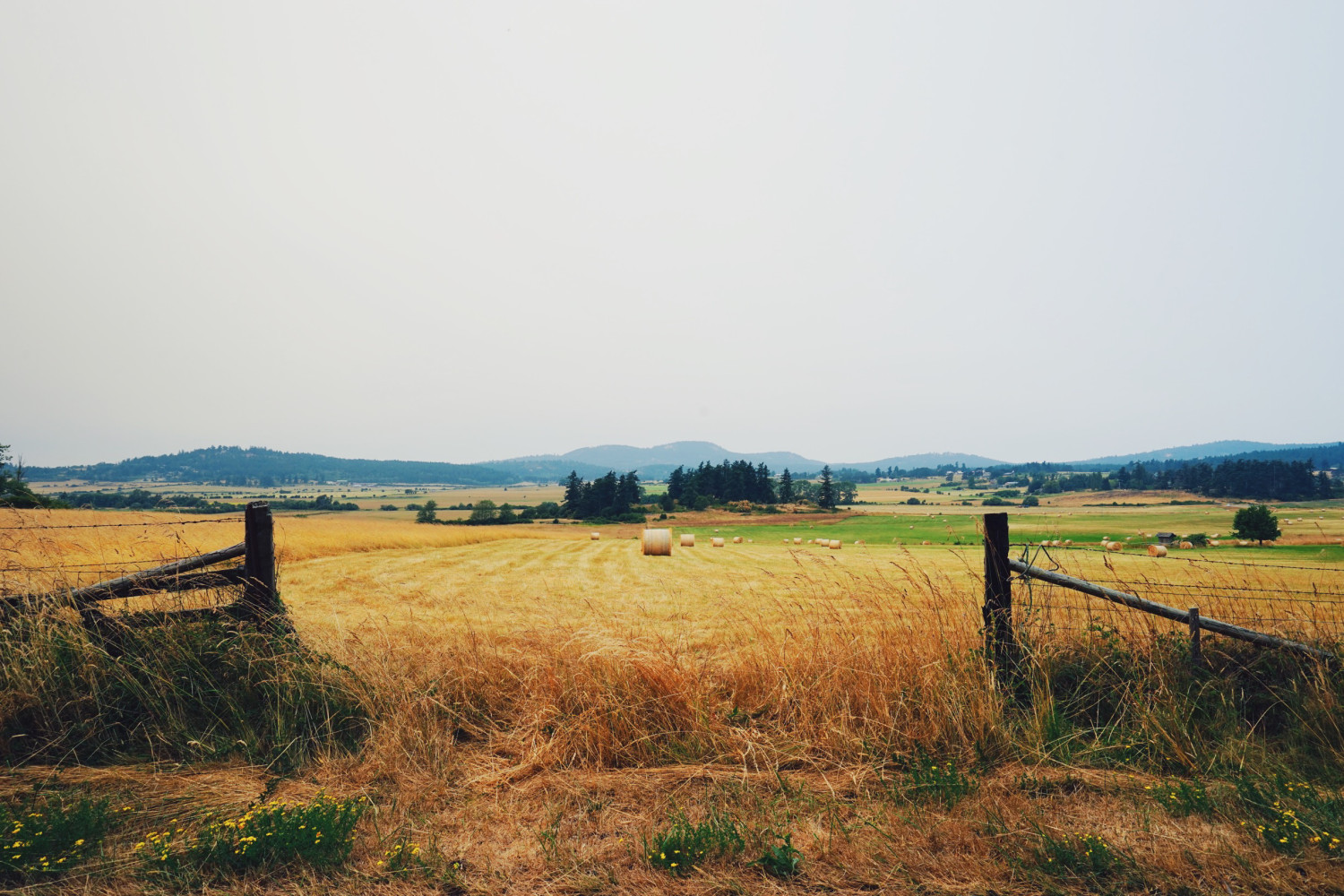 landscape-san-juan-island-dante-vincent-photography