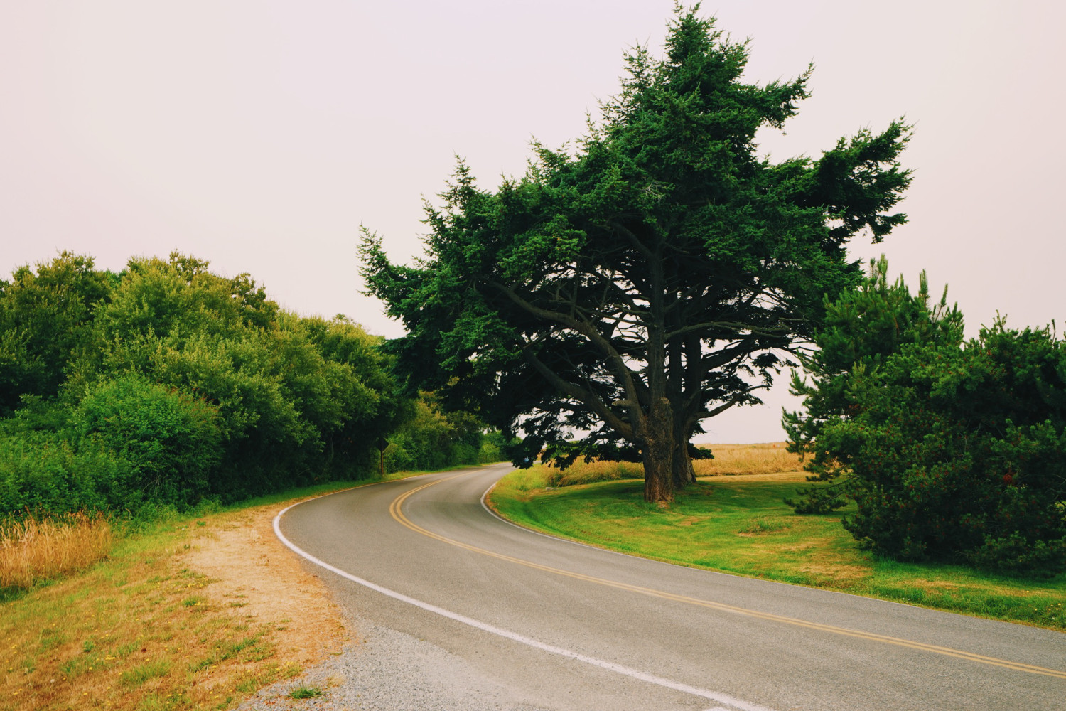 open-road-san-juan-island-dante-vincent-photography