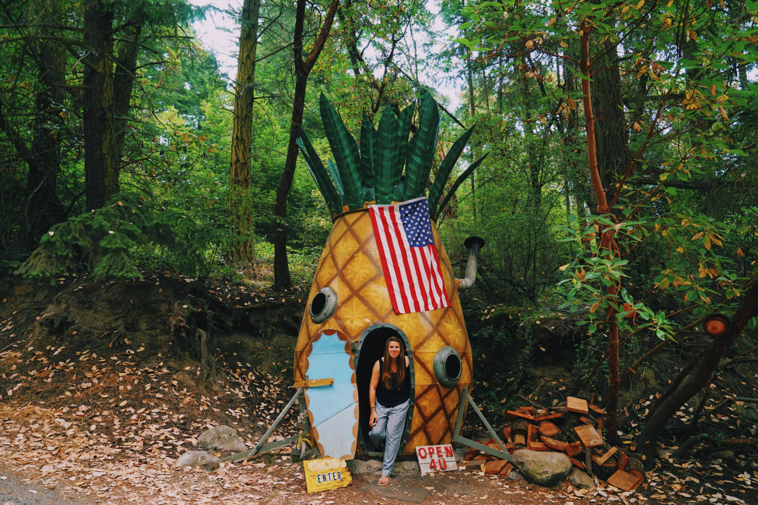 pineapple-clubhouse-san-juan-island-dante-vincent-photography