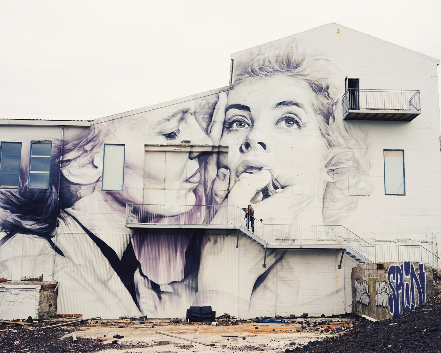 reykjavík-graffiti-iceland-dante-vincent-photography-141