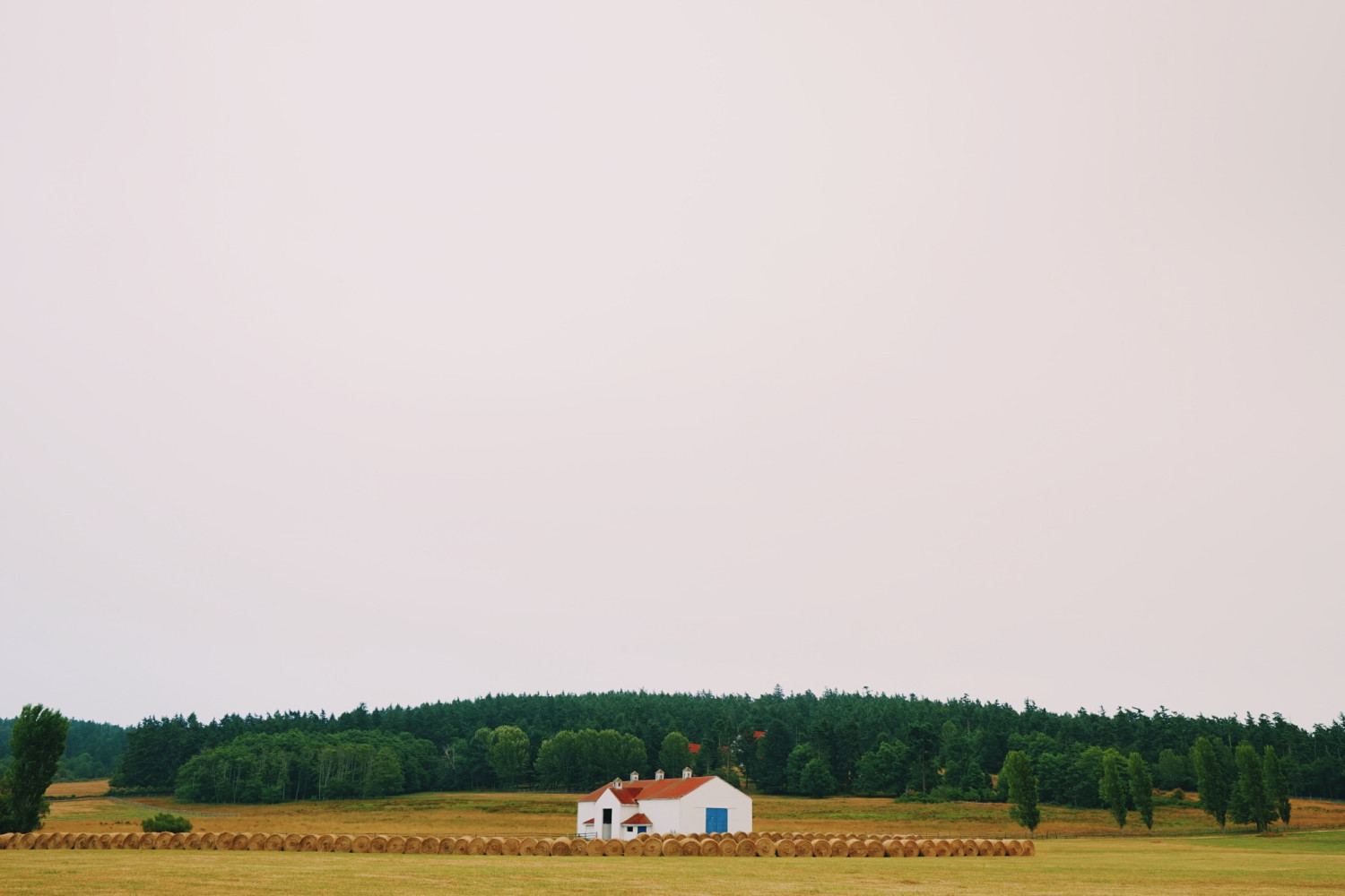 san-juan-island-farmhouse-dante-vincent-photography