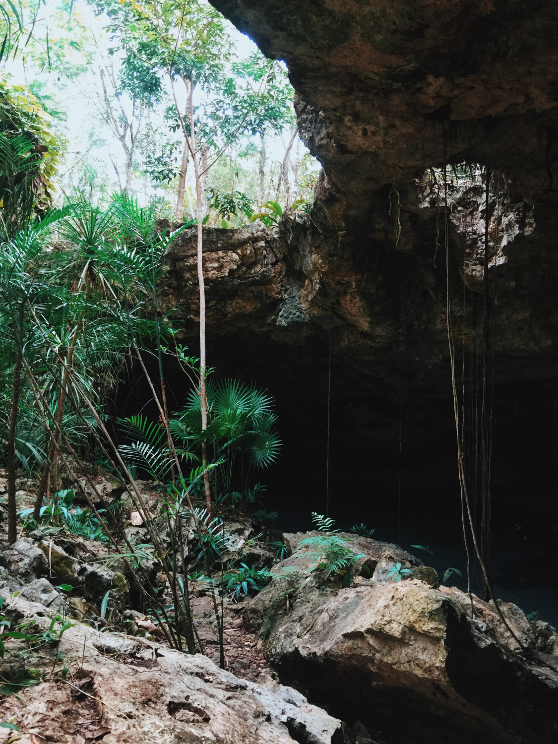 underground-cenote-2-dante-vincent-photography