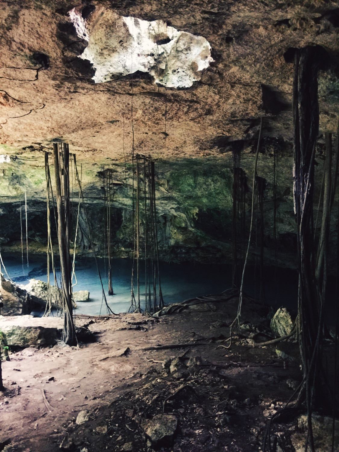 underground-cenote-3-dante-vincent-photography