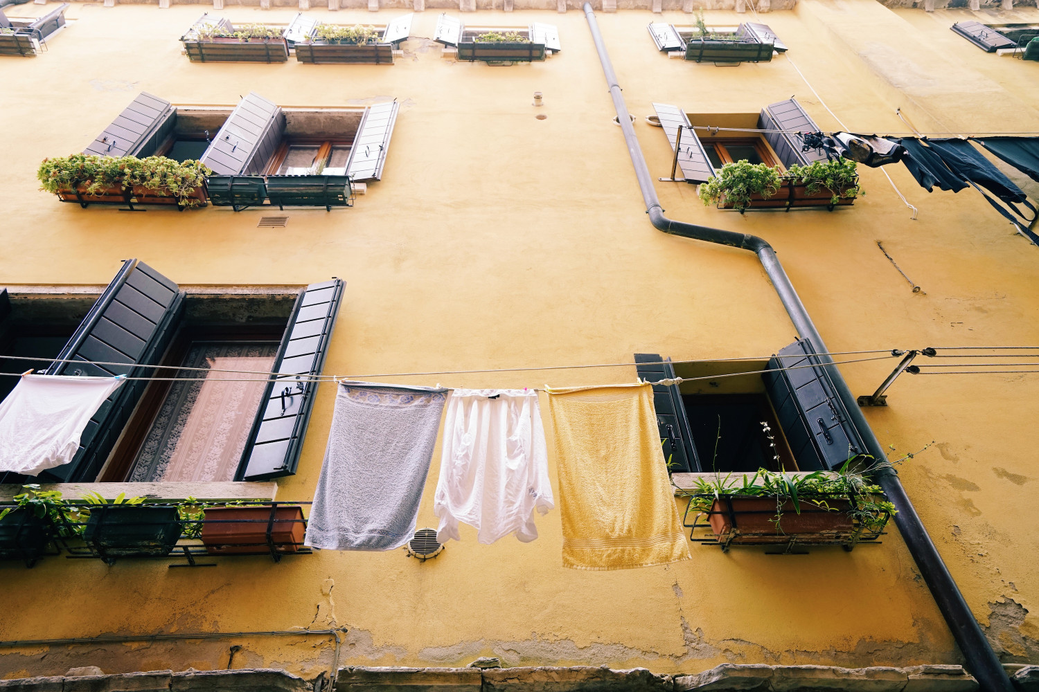 venice-yellow-and-laundry-dante-vincent-photography