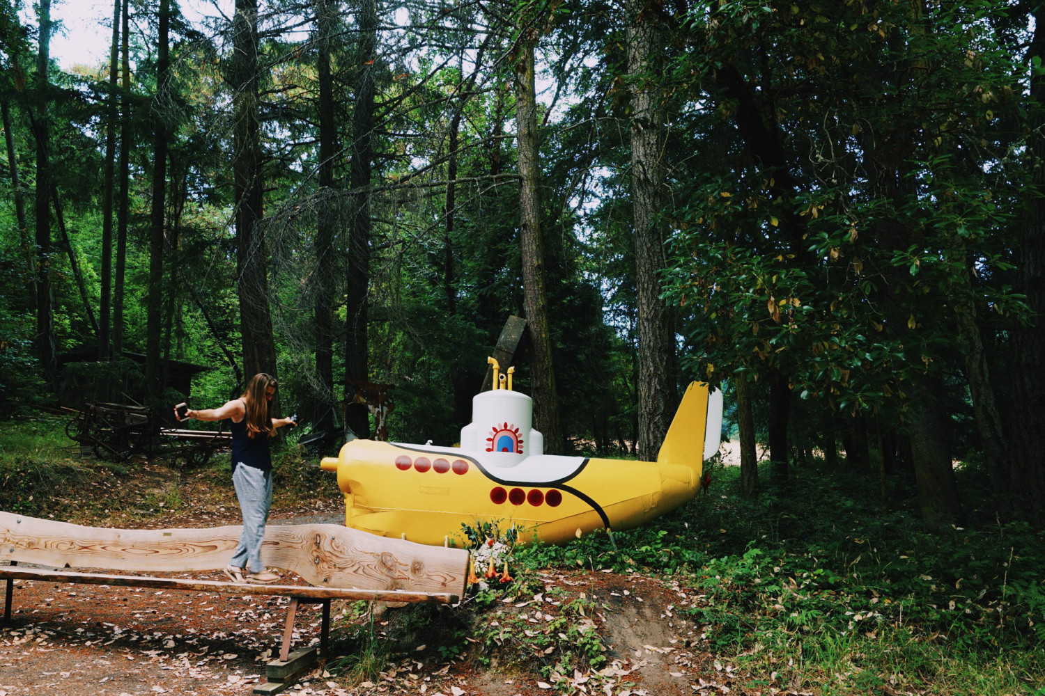 yellow-submarine-san-juan-island-dante-vincent-photography