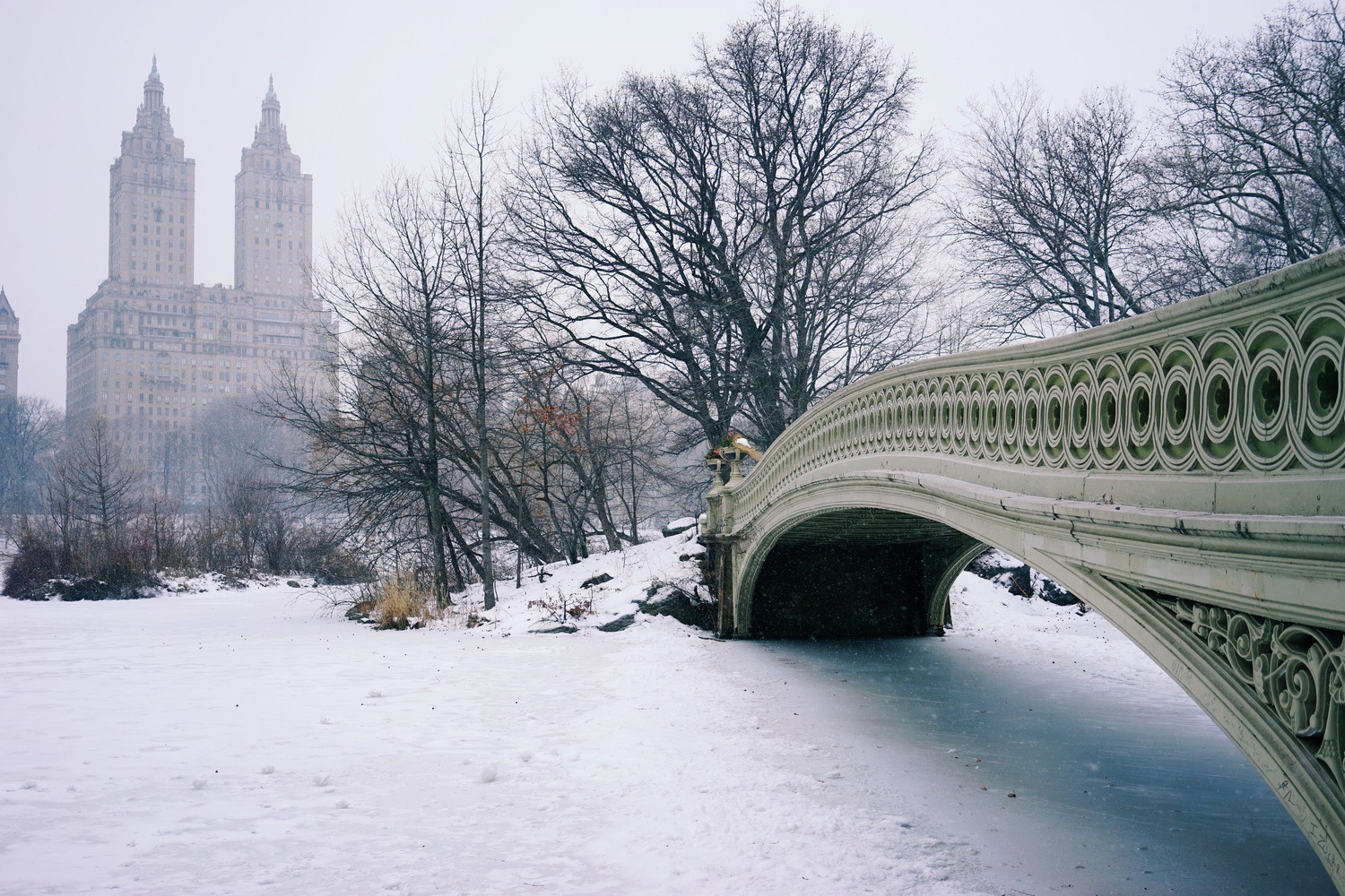 Winter Explorations in Central Park